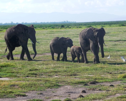 Kenia Nov. 2010 (106).JPG